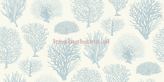 Tapeta 107/2009 Curio