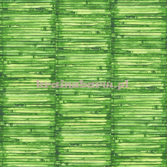 Tapeta G56388 Global Fusion