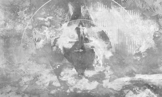 Fototapeta Cosmic wonder