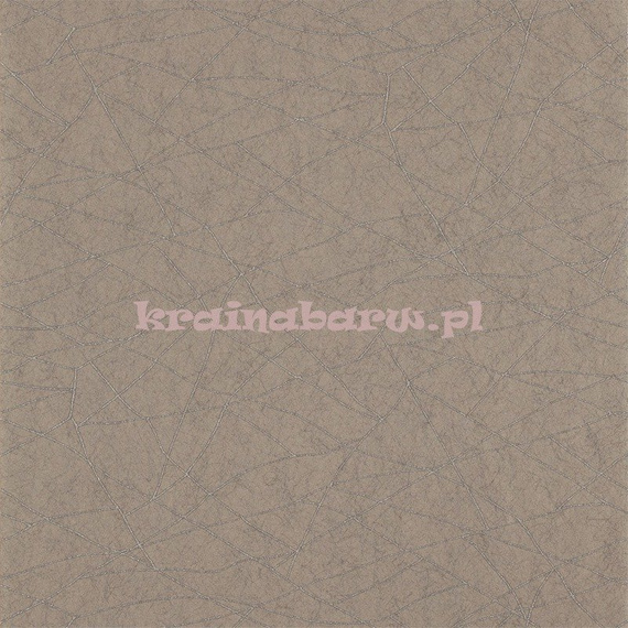 Tapeta 110895 Momentum