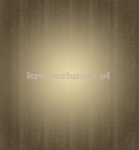 Tapeta MS15 Metalsilk