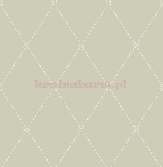 Tapeta 100/13065 Large Georgian Rope Trellis