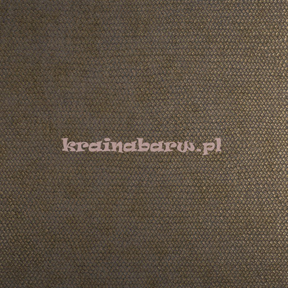 Tapeta Cesto 21540 Lizzo Legend