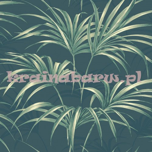 Nowoczesna tapeta z liśćmi palmy na matowm ciemnym zielonym tle