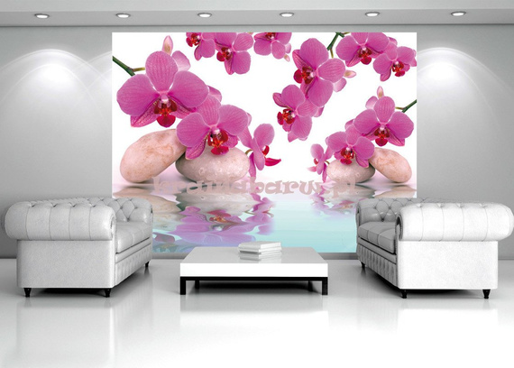 Fototapeta na flizelinie 151VE Consalnet