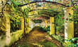 Fototapeta 2296 OGRÓD PERGOLA