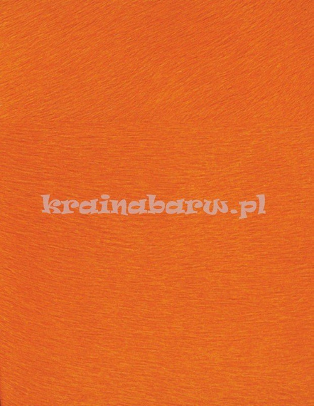 tapeta VP625 21 Natives