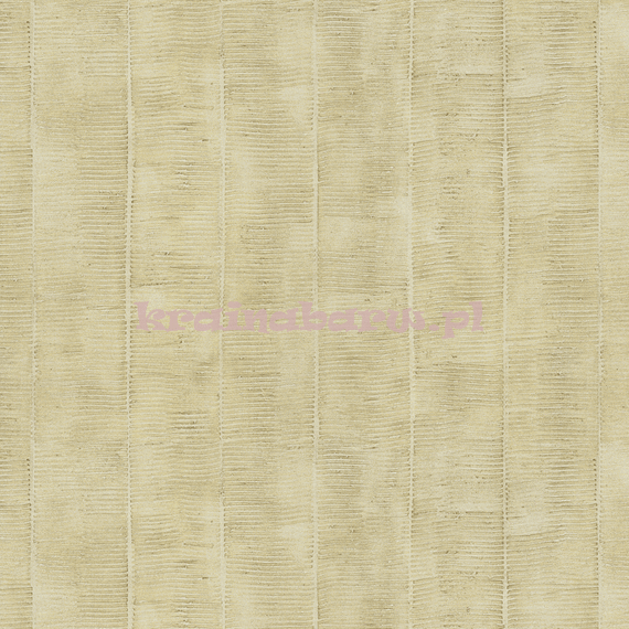 Tapeta CB40317 Atmosphere Carl Robinson ed.4