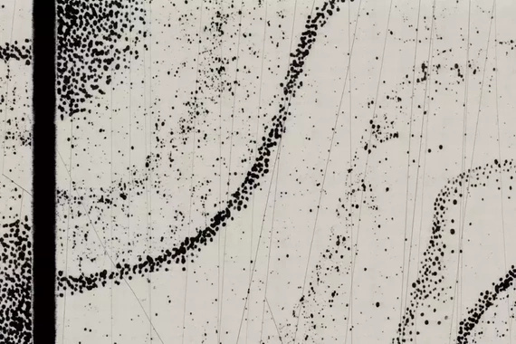 Fototapeta Glamora Float 1