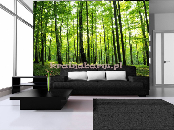 Fototapeta 186 Zielony Las