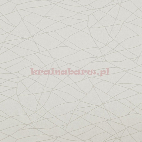 Tapeta 110893 Momentum