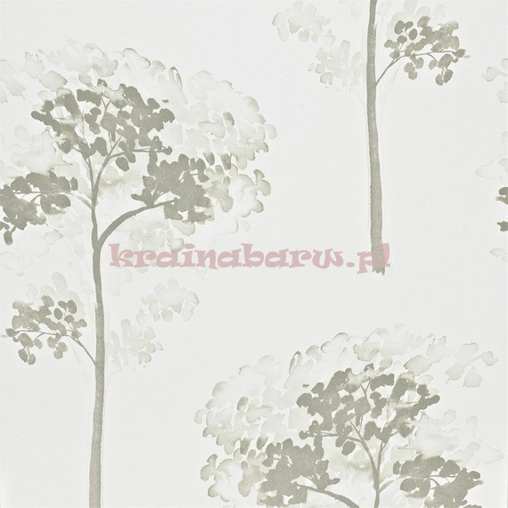 Tapeta 110888 Momentum