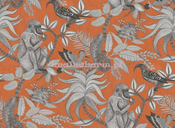 Tapeta 109/1001 Ardmore