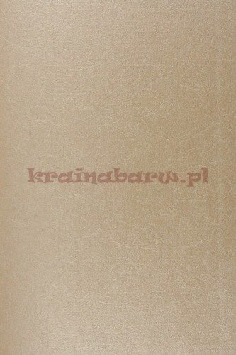 Tapeta CW5410-14  Quartz  TEATRO