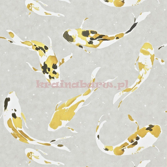 Tapeta 110901 Momentum