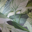 Tapeta Mural 18001 Tropical Forest Coconut