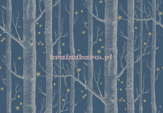 Tapeta 103/11052 Whimsical