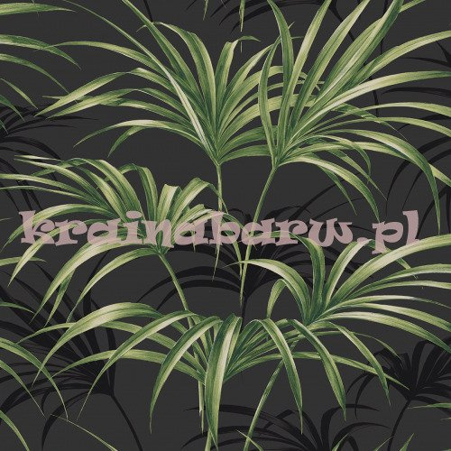 Nowoczesna tapeta z liśćmi palmy w zieleni na czarnym matowm tle