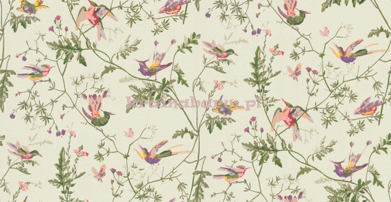 Tapeta 100/14070 Hummingbirds