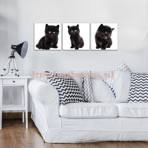 Obrazy na płótnie PS10533S13 CZARNE KOTKI