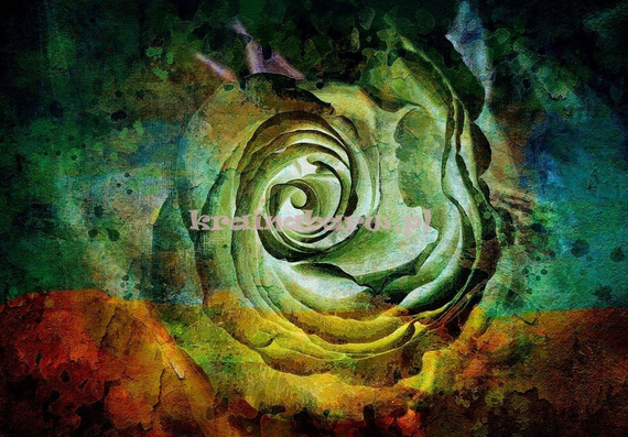 Fototapeta 13498 Kwiat