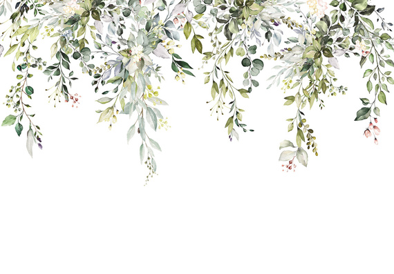 Fototapeta 14497 Zielone liście