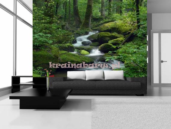 Fototapeta na flizelinie 163VE Consalnet