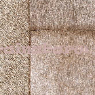 Tapeta VP 618 06 ELITIS INDOMPTEE