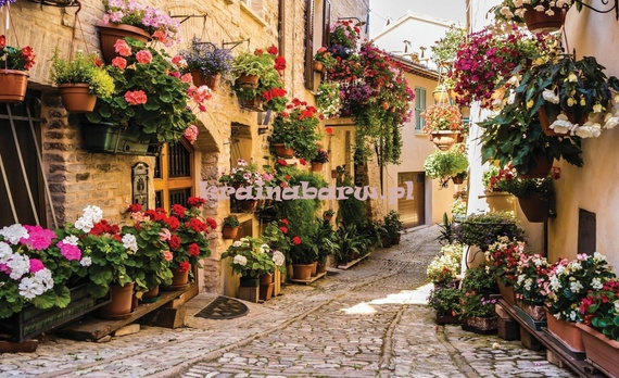 Fototapeta 1339 ULICZKA z KWIATAMI