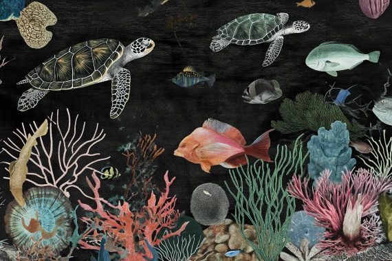 Tapeta Artystyczna Profond Tortue PT104