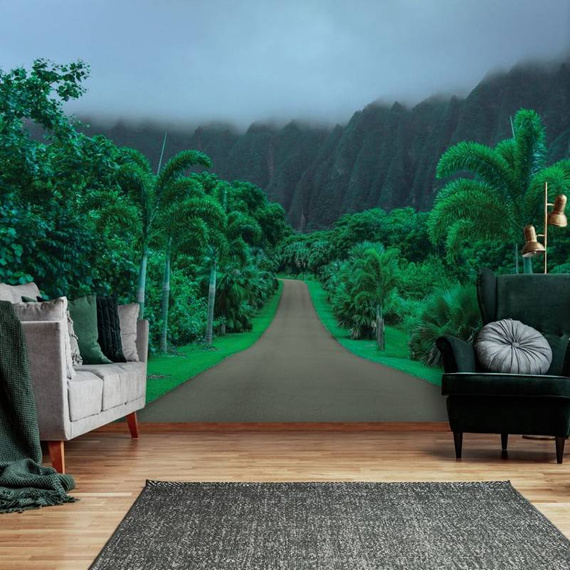 Fototapeta 13988 - Krajobraz Natury Droga na Hawajach