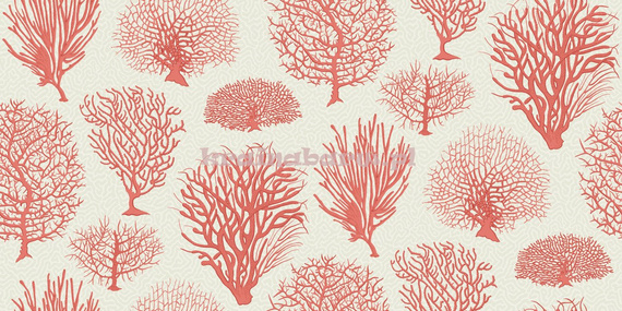 Tapeta 107/2011 Curio