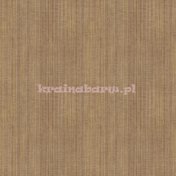 Tapeta z klejem TX34802    Texture Style