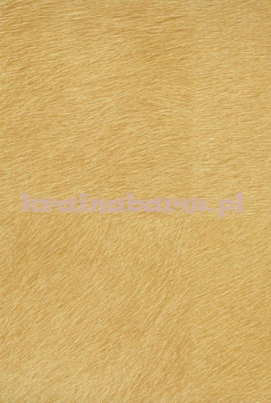 tapeta VP625 08 Natives