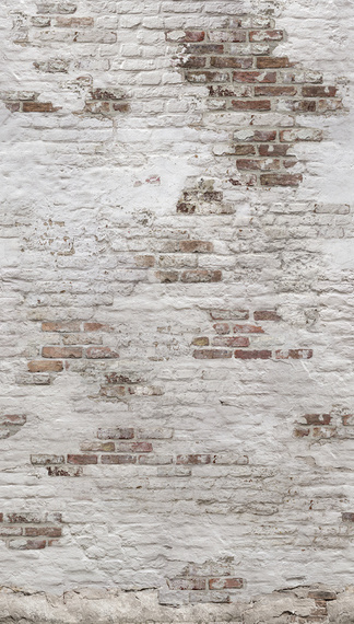 Tapeta Mural  Brick EP6101