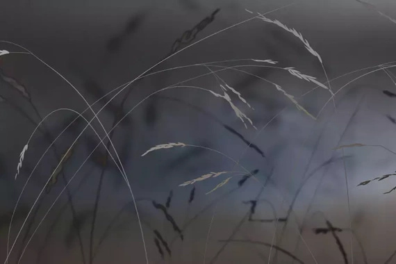 Fototapeta Glamora Soffio