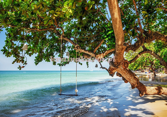 Fototapeta 11850 HUŚTAWKA