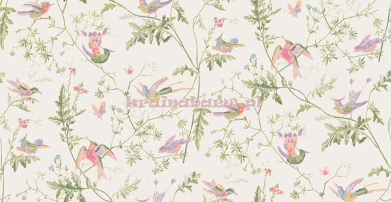 Tapeta 100/14067 Hummingbirds