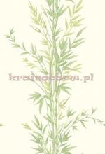 Tapeta 100/5023 Bamboo