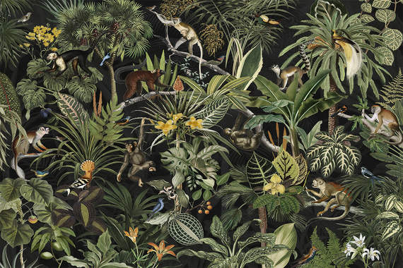 Fototapeta Ciemna Botanika