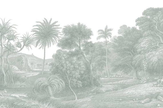 Fototapeta Jungle Land