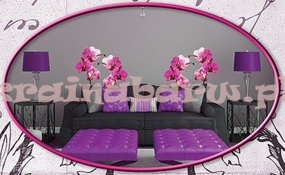 Naklejki na ścianęSTORCZYKI SPN233WD