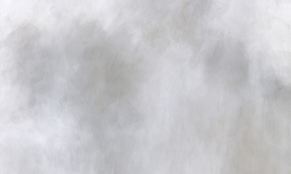 Fototapeta artystyczna Mist trawy