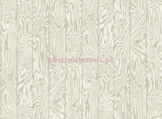 Tapeta 107/1005 Curio