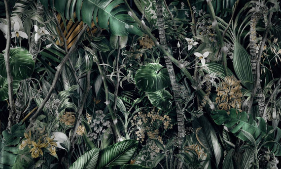 Tapeta Artystyczna Amazonia