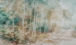 Tapeta artystyczna Wallart Foresta pastelowy las