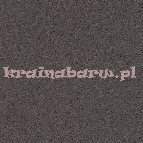 Ekskluzywna tapeta Versace IV ciemno szare tło