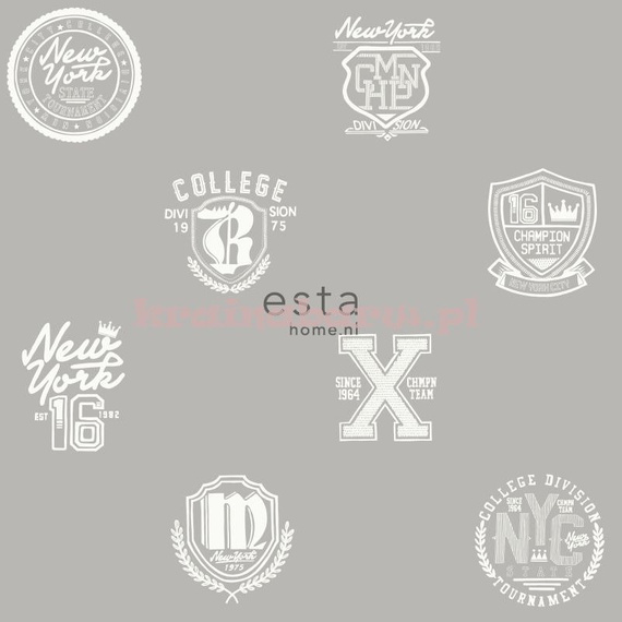 Tapeta 141-138804 College