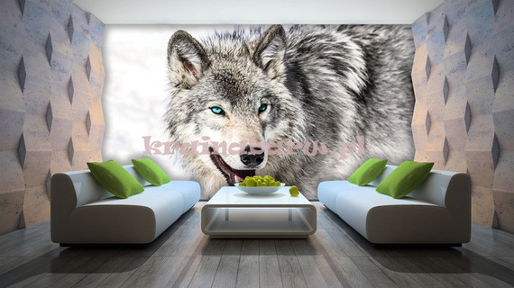 Fototapeta 2940 WILK