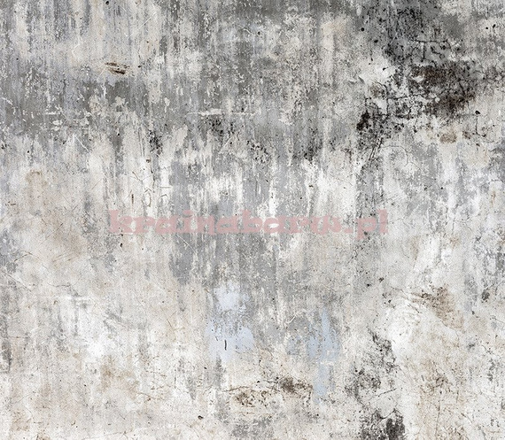 Fototapeta RE020015 BETONOWA ŚCIANA